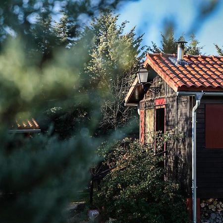 Casa Rural La Canadiense Log Cabin Affittacamere Buenache de la Sierra Esterno foto