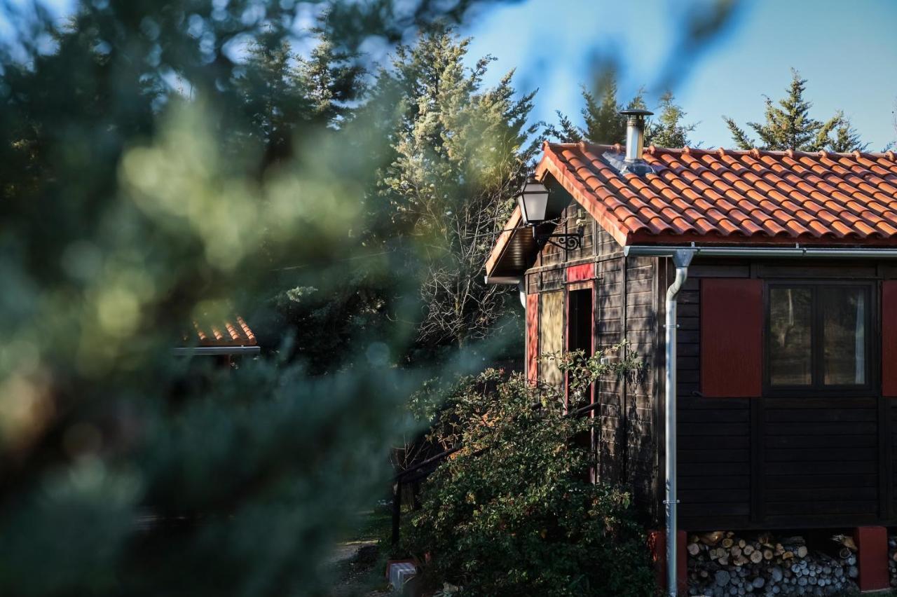 Casa Rural La Canadiense Log Cabin Affittacamere Buenache de la Sierra Esterno foto